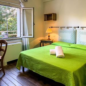 Twin Room Garden View